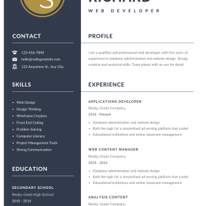 Editable Gray Gold CV Resume Template